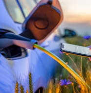 Attività commerciali